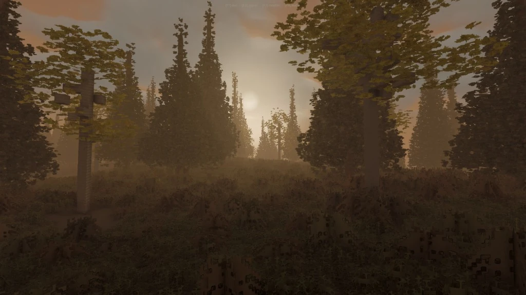 A misty forest at sunrise, with tall trees standing in low ground cover