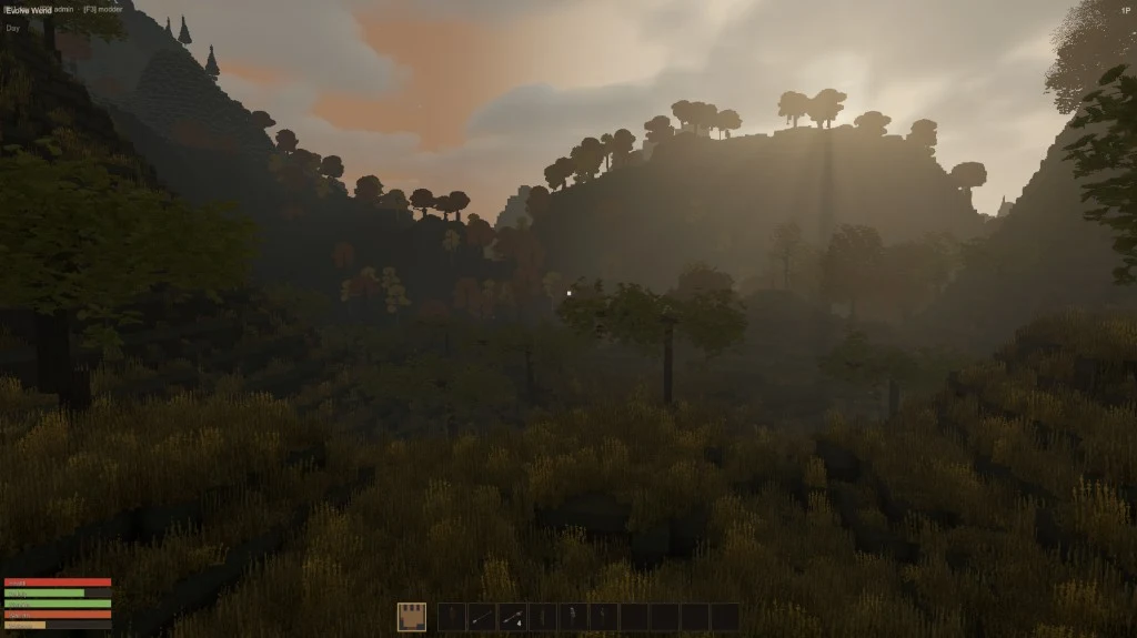 Warm low sunlight and light shafts crossing a varied forested valley