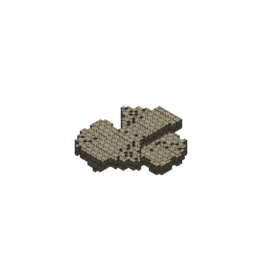 Bone