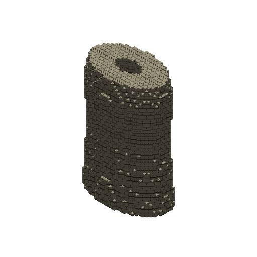 Bone Lamellar Cuirass