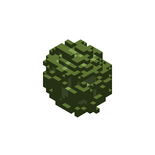 Cabbage