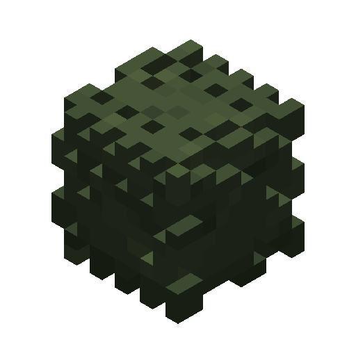 Grass