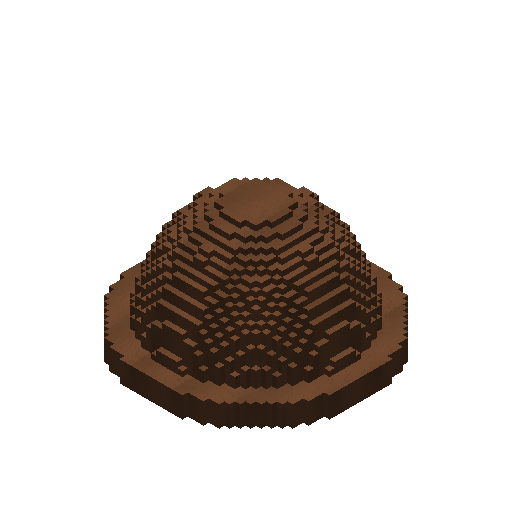 Leather Cap