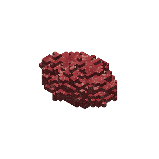Raw Meat