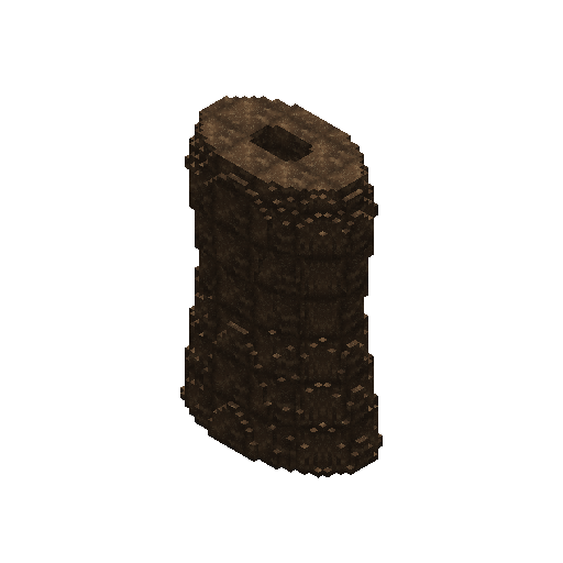 Rawhide Vest