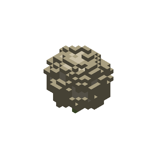 Salted Cabbage